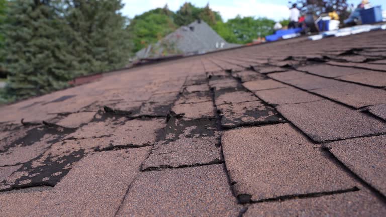 Best Gutter Installation and Repair  in Ashland, AL