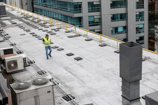 Best Roof Maintenance and Cleaning  in Ashland, AL