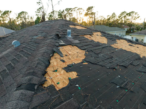 Best Chimney Flashing Repair  in Ashland, AL