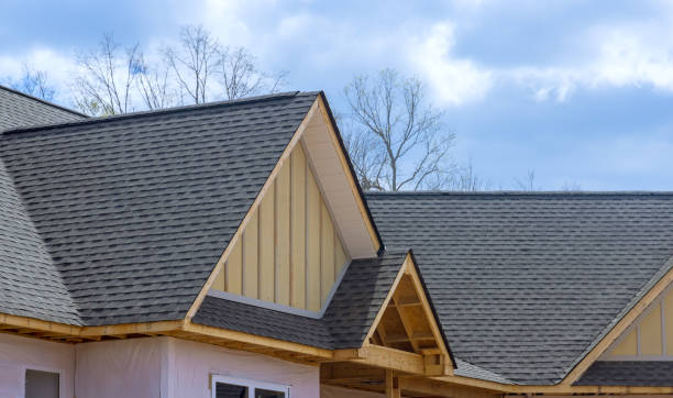 Best Roof Maintenance and Cleaning  in Ashland, AL