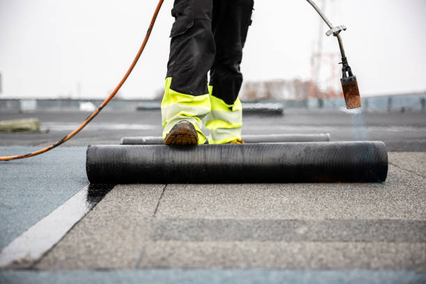 Best Asphalt Shingle Roofing  in Ashland, AL