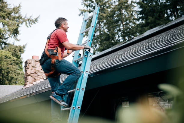 Best Roof Inspection  in Ashland, AL