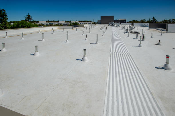 Best Storm Damage Roof Repair  in Ashland, AL
